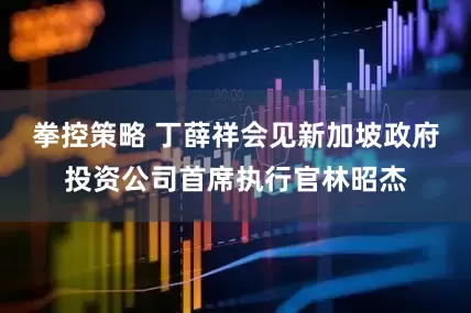 拳控策略 丁薛祥会见新加坡政府投资公司首席执行官林昭杰